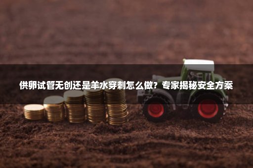 供卵试管无创还是羊水穿刺怎么做？专家揭秘安全方案